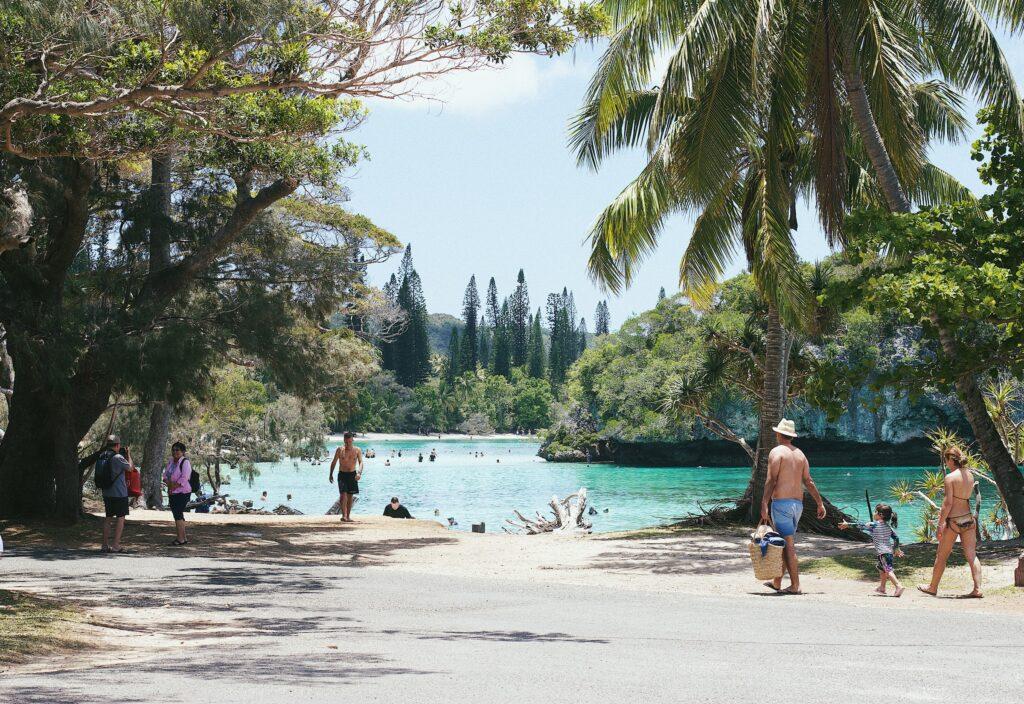 New Caledonia Isle of Pines with palm trees