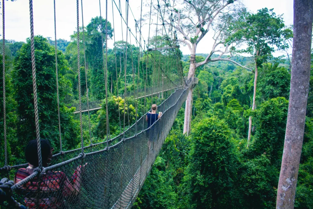 Kakum Canopy, Cape Coast, Ghana